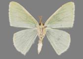 AZ26-0192V